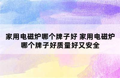 家用电磁炉哪个牌子好 家用电磁炉哪个牌子好质量好又安全